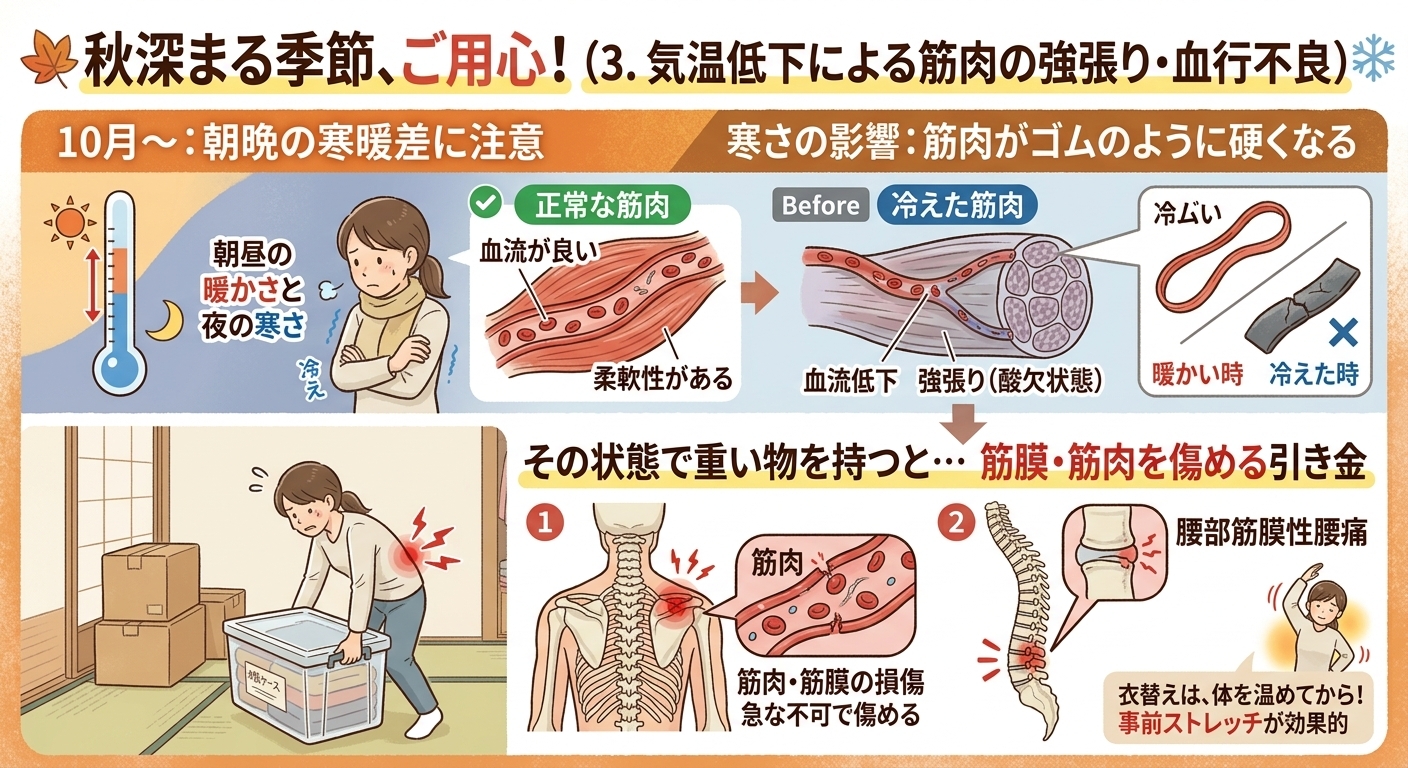 血行不良